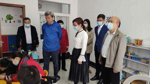 黄陂区人大视察 中华人民共和国残疾人保障法 贯彻实施情况